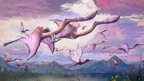 เทอโรซอร์ที่เพิ่งฟักออกมาอาจจะบินได้