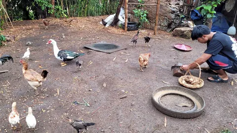 ทำอาหารเลี้ยงสัตว์เอง พลิกขาดทุนเป็นกำไร