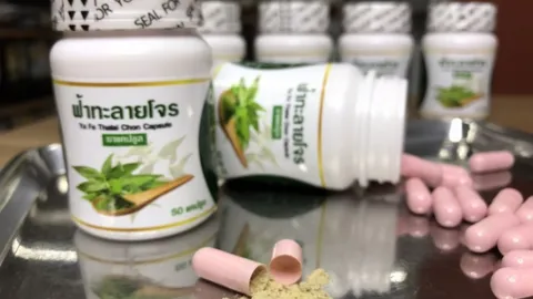 รวบหนุ่มแสบ ลักลอบผลิตแคปซูลยา "ฟ้าทะลายโจร" แต่ใช้ผง "บอระเพ็ด"