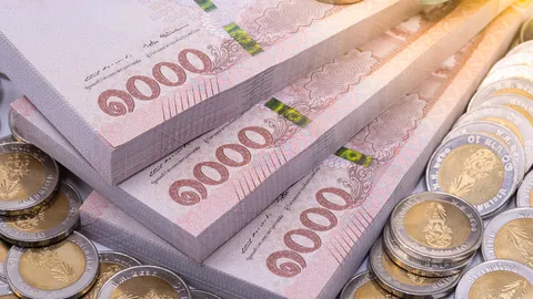 งานผู้แทนฯ