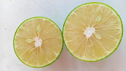 มะนาวหวานน้ำ ขับลม กินได้ ประดับดี ปลูกง่ายทนต่อแมลงและโรคแครงเกอร์