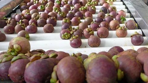 เมื่อไรจะบูรณาการซะที