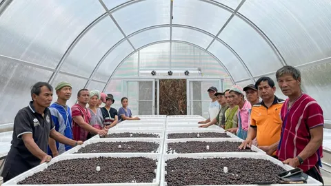 พาราโบลาโดม อบแห้งด้วยพลังงานแสงอาทิตย์ เพิ่มค่ากาแฟพื้นที่สูง