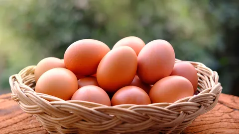 ผู้เลี้ยงยัน "ไข่ไก่" ราคาหน้าฟาร์มเท่าเดิม ที่แพงเพราะพ่อค้าคนกลาง