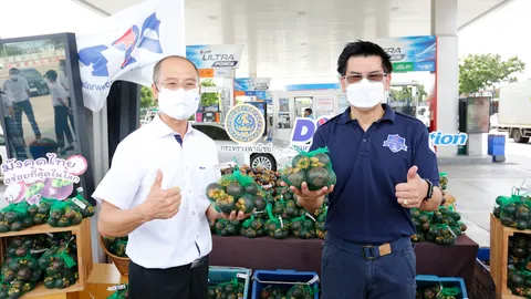 พาณิชย์ ผนึกเอกชนช่วยเกษตรกร ดัน "มังคุด" เกรดคุณภาพแตะ กก.ละ 50 บาทแล้ว