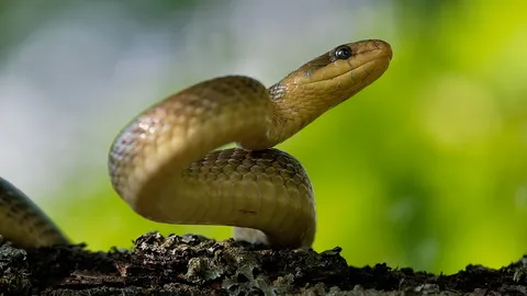 เกือบเป็นเที่ยวบินระทึก