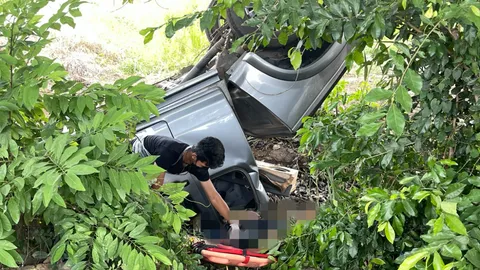 ปิกอัพบรรทุกคนงาน กลับจากตรวจโควิด ลงถนนชนต้นไม้ ตาย 3 บาดเจ็บ 6