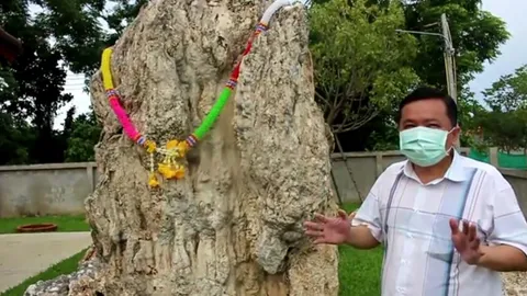 เสี่ยโรงงานน้ำดื่ม เผย "เลขเด็ด" องค์พญานาคสีเขียว ลุ้นโชคงวด 16/8/64 (คลิป)