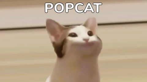 อัปเดต 10 อันดับเกม POPCAT คนไทยจิ้มแมวรัวๆ พุ่งติดอันดับ 2 แล้ว