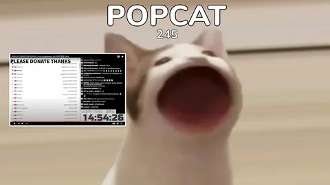 จริงจังมาก "สตรีมเมอร์ไต้หวัน" เปิดเพลงชาติไทย วินาทีไทยขึ้นที่ 1 เกม "POPCAT" (คลิป)