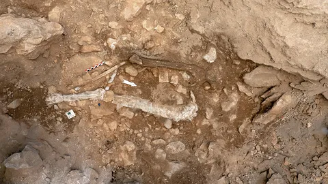 พบศพมนุษย์ยุคหินเก่า ตอนปลายในคาบสมุทรไอบีเรีย