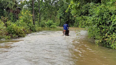 ขนของหนีชุลมุน น้ำป่าซัดกลางดึก ไหลจากเขาใหญ่ เข้าประจันตคาม