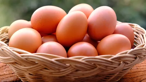 เตือนระวัง “ไข่ไก่เสื่อมคุณภาพ” “ปศุสัตว์” แจงมือใหม่แห่ขาย-เก็บรักษาไม่เป็น