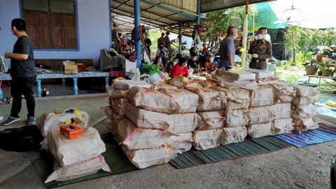 รังยานรก 