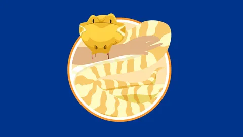 ทำนายฝัน เจองูกัด แปลว่าจะเจอคู่รักเหมือนฝันว่างูรัดไหมน้า?