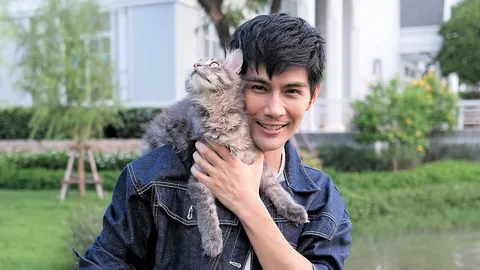 หนึ่งวันของ “มังกร-ปภาวิน” กับภารกิจ “ทาสแมว” สัตว์เลี้ยงสุดคิวต์
