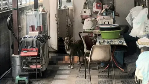 สยองหมาไทยโดดขยํ้าคอ “หญิง 61 เจ้าของ” ดับคาบ้าน