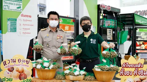 กรมการค้าภายใน ผนึกปั๊มน้ำมัน ห้างค้าปลีก รับซื้อลำไย ช่วยเกษตรไทย