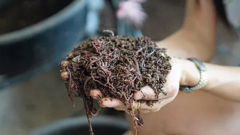 กรมอนามัย เตือน "เปิบไส้เดือน" แหล่งเชื้อโรค เสี่ยงโรคระบบทางเดินอาหาร