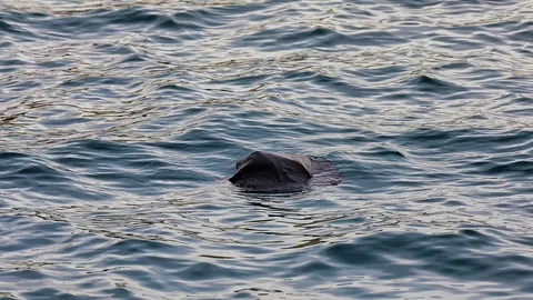 ตกใจหมดเลย