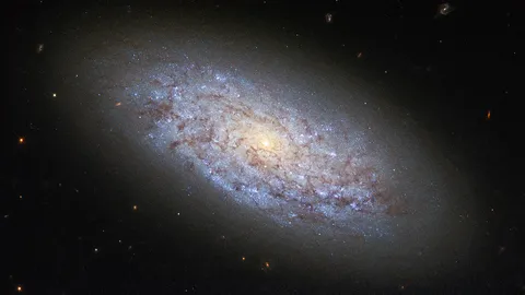 กล้องโทรทรรศน์วิทยุเมียร์แคทวิเคราะห์กาแล็กซี 2,094 แห่ง