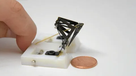 หุ่นยนต์เลียนแบบพลังหมัดกั้งตั๊กแตนตำข้าว