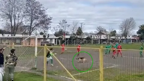 กองหน้ายังชิดซ้าย "น้องหมา" จมูกไวเปลี่ยนทางบอลเข้าประตู โซเชียลแซวล้ำหน้า (คลิป)