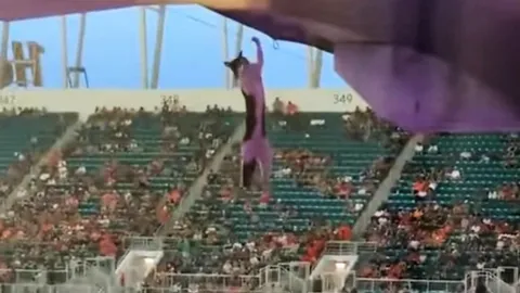 รอดหรือไม่ คนทั้งสนามพร้อมใจช่วยลูกแมวโหนเชือกเล่นก่อนร่วงลงพื้นหวิดดับ (คลิป)