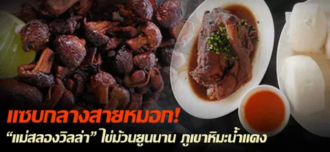 แซบกลางสายหมอก! "แม่สลองวิลล่า" ไข่ม้วนยูนนาน ภูเขาหิมะน้ำแดง