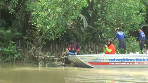 กู้ภัยฉะเชิงเทรา ลุยจับจระเข้แม่น้ำบางปะกง หลังพบแหล่งกบดานคาดมีหลายตัว (คลิป)