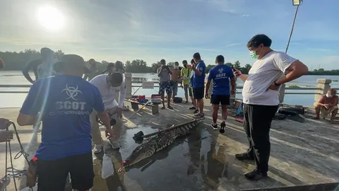 ผวาไอ้เข้  (คลิป)