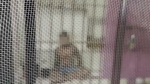 แจ้งจับลูกจ้างวัย 43 หลอกพา ด.ญ. 11 ขวบ ลูกสาวนายจ้างไปข่มขืน 