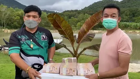 เสี่ยระยอง เปิดใจควัก 10 ล้านบาทซื้อ "กล้วยด่างอินโด" เชื่อทำกำไรได้อีก (คลิป)