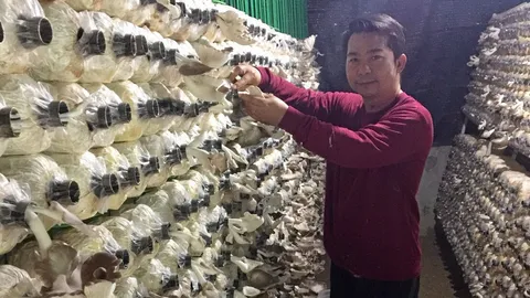 แปรรูปเห็ดครบวงจร ซีโร่เวสต์...ขยะเป็นศูนย์ไม่ก่อให้เกิดผลกระทบทางสิ่งแวดล้อม