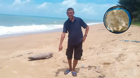 เจอก้อนปริศนาบนหาดไม้ขาว ภูเก็ต เชื่อ อำพันทะเล "อ้วกวาฬ" ราคานับล้าน 
