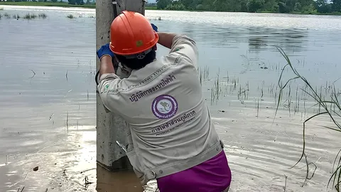 PEA เร่งดำเนินการยกระดับมิเตอร์ไฟฟ้าที่ได้รับผลกระทบน้ำท่วมสูง ในพื้นที่จังหวัดชัยภูมิ