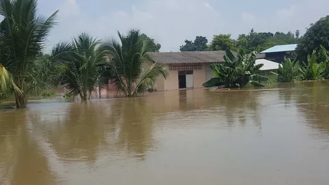 น้ำท่วมสระบุรีหลังเขื่อนป่าสักฯ เร่งระบาย กระทบพื้นที่ท้ายเขื่อนแล้ว