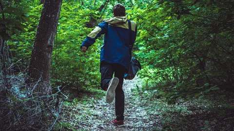 They are on the run.