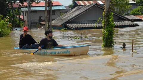 มิดหลังคา
