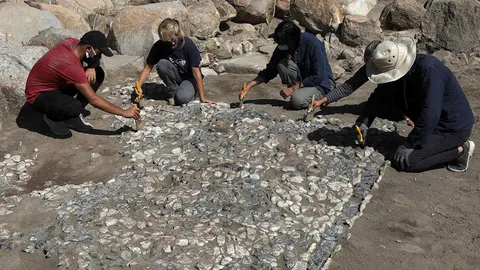 การค้นพบรากเหง้าของหินโมเสกเมดิเตอร์เรเนียนพบในตุรกี