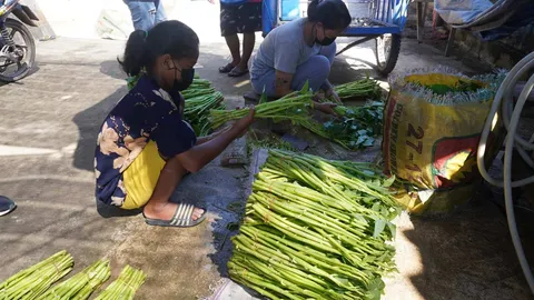 เกษตรกรเผยผักบุ้งไม่พอขายช่วงกินเจ ฝนตกหนัก ผักไม่แตกยอด ยันขายส่งราคาเดิม
