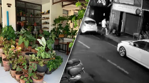 รวบลุงวัย 58 โควิดทำตกงาน ขับเก๋งตระเวนขโมยต้นไม้ ค้นบ้านปลูกไว้เพียบ