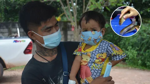 พ่อเล่า "งูเห่า" หนีที่ชื้นหาที่แห้ง กัดหัวลูกชายเกือบตาย!