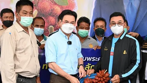 ดูแลผลไม้ 