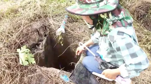 หนุ่มเลี้ยงวัว มุดช่วยลูกหมาที่เก็บมาเลี้ยง หัวทิ่มติดท่อตายอนาถ