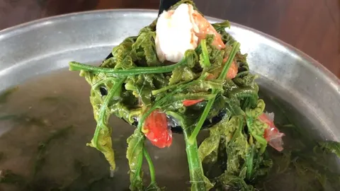 เมนูต้มส้มผักกูดกุ้งสด อร่อยลิ้น สรรพคุณดีกับสุขภาพ (คลิป)