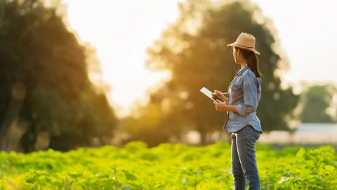 กุญแจทฤษฎีใหม่ ไขทุกภัยยุคโควิด-19