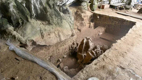 ค้นพบหลักฐานซากศพมนุษย์ที่เก่าแก่ที่สุด พบในวอลเลเซีย