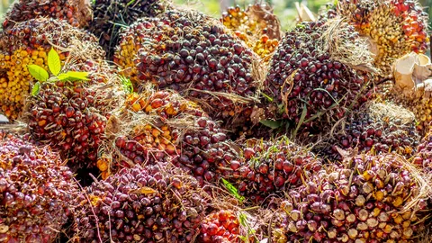 มายากลปรับลดสูตรไบโอดีเซล ใครได้..เกษตรกรเสียแน่ๆ (1)