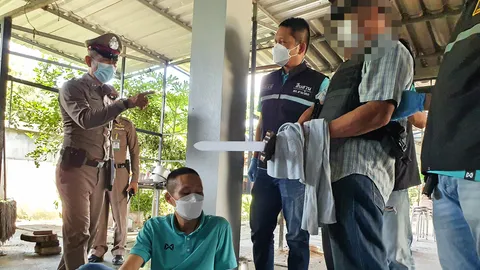 ทำแผนฆ่า